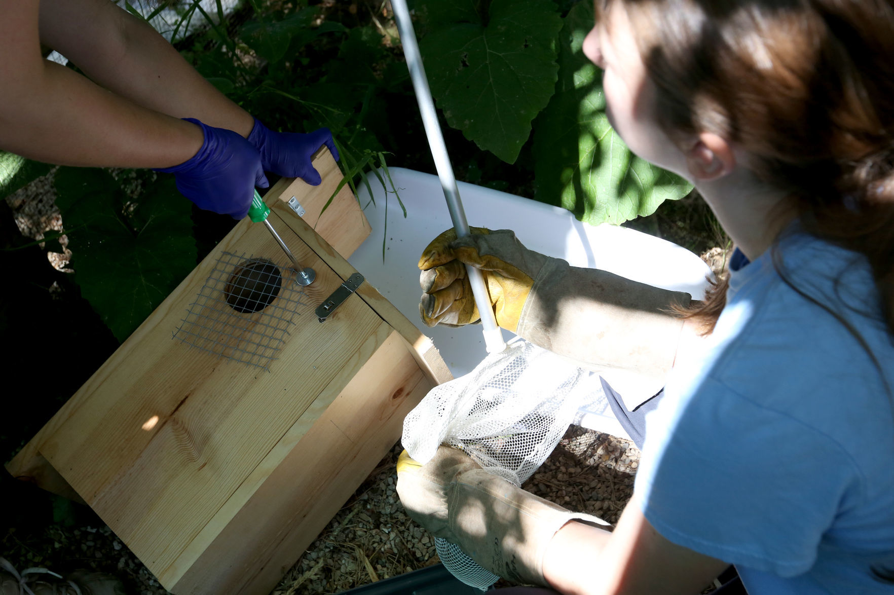 WILDLIFE CENTER